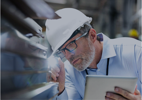 Equipe Sênior de P&D